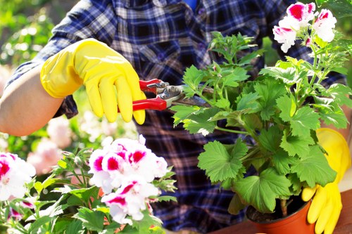 Gardener inspecting a residential front garden in Bethnal Green
