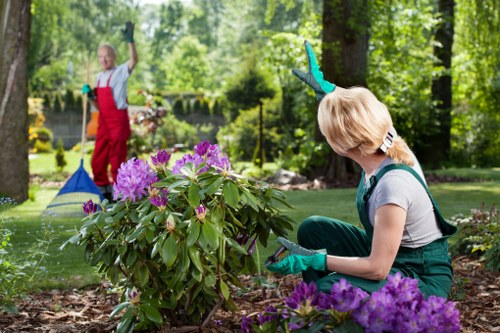 In a lush garden with tall deciduous trees and vibrant green foliage, two women are engaged in outdoor gardening activities. In the foreground, a woman with short blond hair, wearing teal gardening gloves, a gray t-shirt, and forest green overalls, is crouched down examining or tending to a flowering shrub with purple blooms and broad green leaves. The garden features a well-maintained grassy lawn, bordered by flower beds and natural soil areas. In the background, another woman dressed in a white top and red apron stands near a small pond or water feature, holding a garden rake, with her arm raised and a cheerful expression. The scene is bathed in natural daylight, suggesting a clear, pleasant day, and the environment appears peaceful and carefully maintained, supporting outdoor gardening and land management activities typical of professional gardening services in Bethnal Green or nearby areas. The lush greenery, flower colours, and garden layout visually demonstrate a healthy and vibrant outdoor space suitable for gardening enhancements or regular landscape maintenance by Garden Maintenance Bethnal Green.