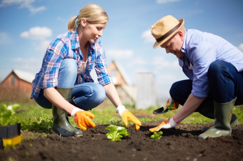Two gardeners finishing a tidy-up in an urban garden