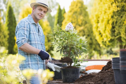 Professional gardeners maintaining a lawn